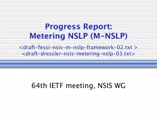 Progress Report: Metering NSLP (M-NSLP)
