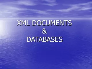 XML DOCUMENTS &amp; DATABASES