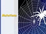 Mutations: Types and Impact - slide 1