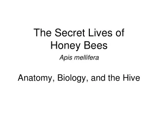 The Secret Lives of  Honey Bees Apis mellifera Anatomy, Biology, and the Hive