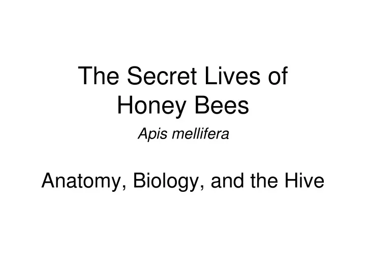 the secret lives of honey bees apis mellifera anatomy biology and the hive