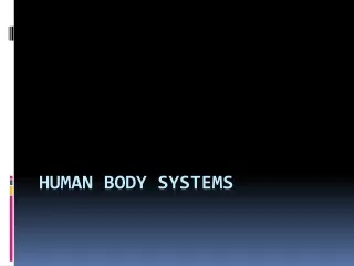 Human body systems