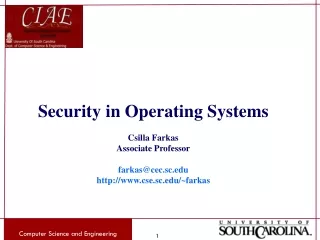 Security in Operating Systems Csilla Farkas Associate Professor farkas@cec.sc