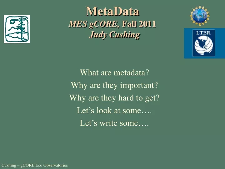 metadata mes gcore fall 2011 judy cushing