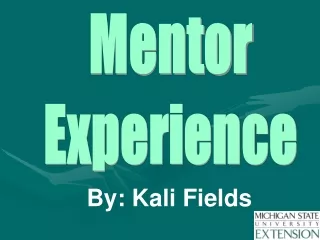 Mentor Experience