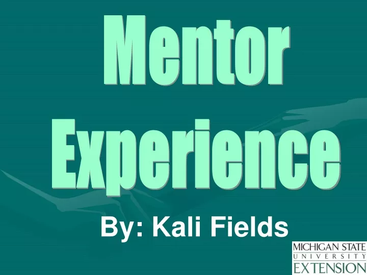 mentor experience