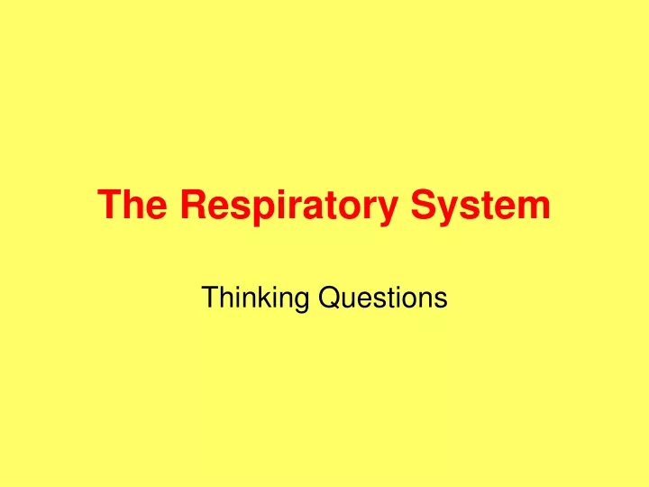 the respiratory system