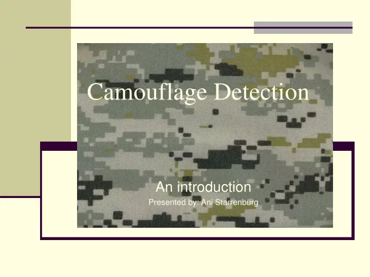 camouflage detection