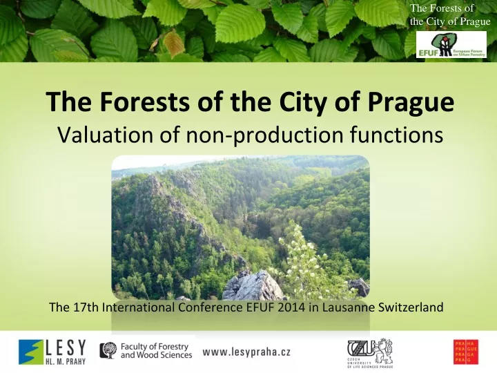 the forests of the city of prague valuation of non production functions