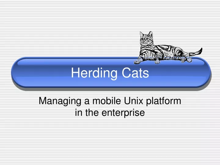 herding cats