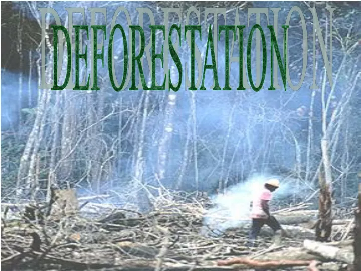 deforestation