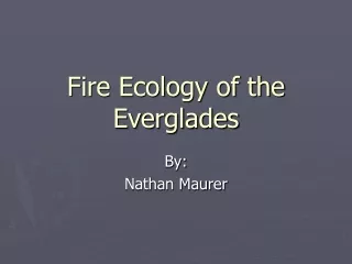 Fire Ecology of the Everglades