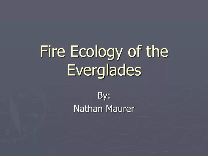 fire ecology of the everglades