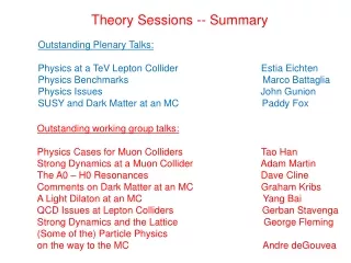 Theory Sessions -- Summary