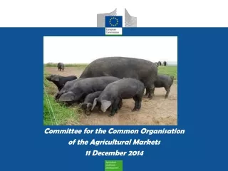 Committee for the Common Organisation  of the Agricultural Markets 11 December 2014