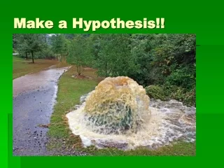 Make a Hypothesis!!