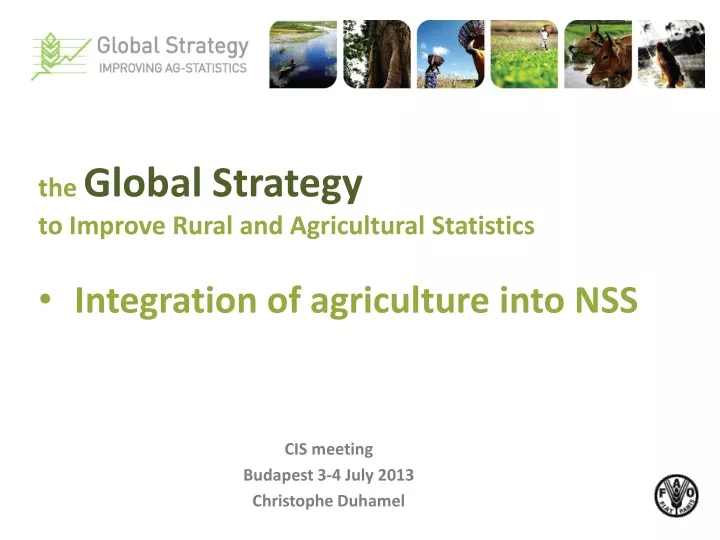 the global strategy to improve rural