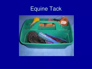 Equine Tack