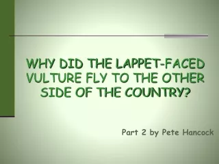 WHY DID THE LAPPET-FACED VULTURE FLY TO THE OTHER SIDE OF THE COUNTRY?