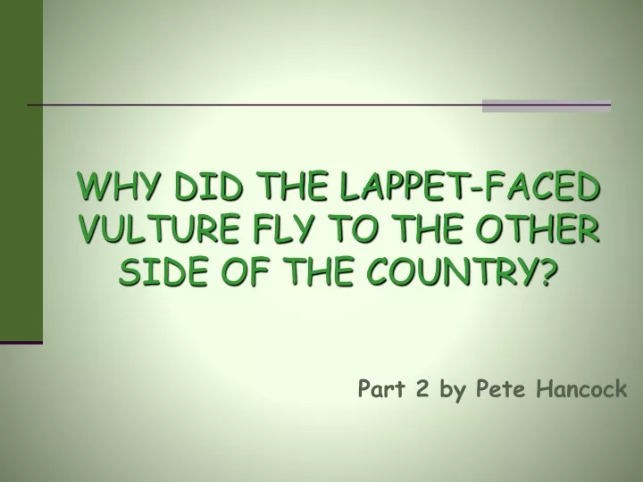 why did the lappet faced vulture fly to the other side of the country