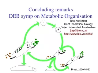 Concluding remarks DEB symp on Metabolic Organisation
