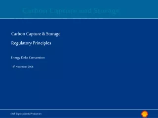 Carbon Capture &amp; Storage Regulatory Principles