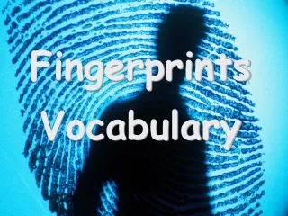 Fingerprints Vocabulary