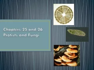 Chapters  25  and  26   Protists  and Fungi