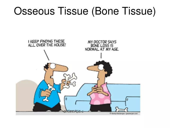 osseous tissue bone tissue