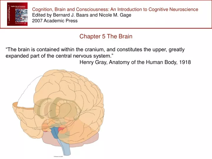 cognition brain and consciousness an introduction