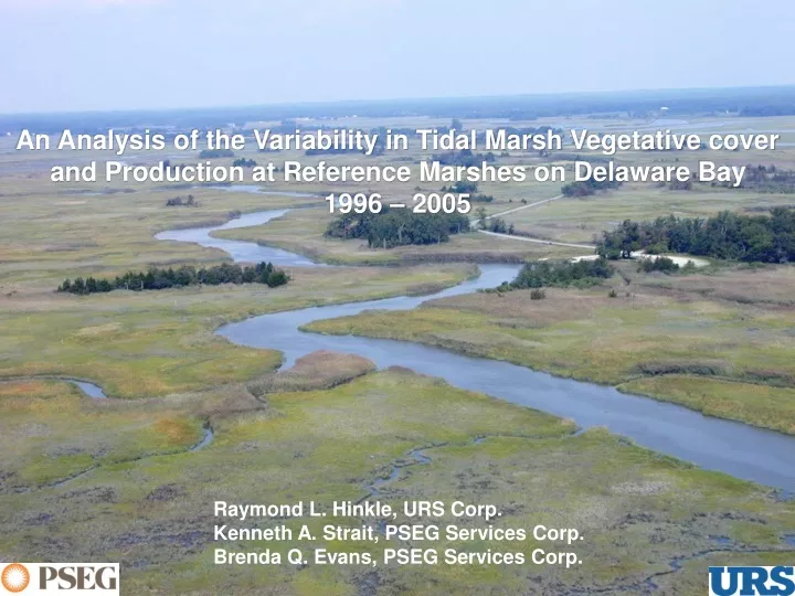 an analysis of the variability in tidal marsh
