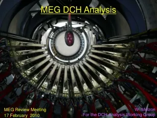 MEG DCH Analysis