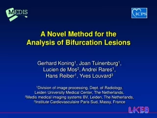 A Novel Method for the  Analysis of Bifurcation Lesions