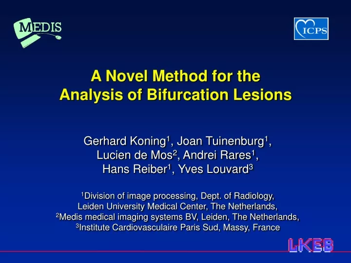 a novel method for the analysis of bifurcation lesions