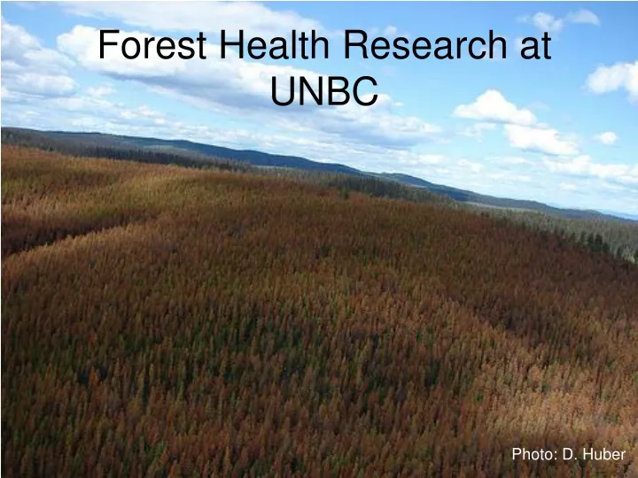 forest health research at unbc