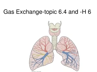 Gas Exchange-topic 6.4 and -H 6