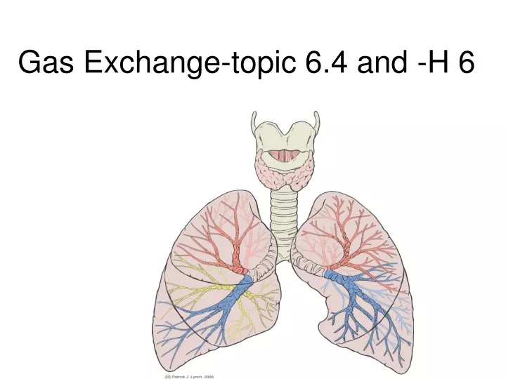 gas exchange topic 6 4 and h 6