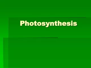 Photosynthesis