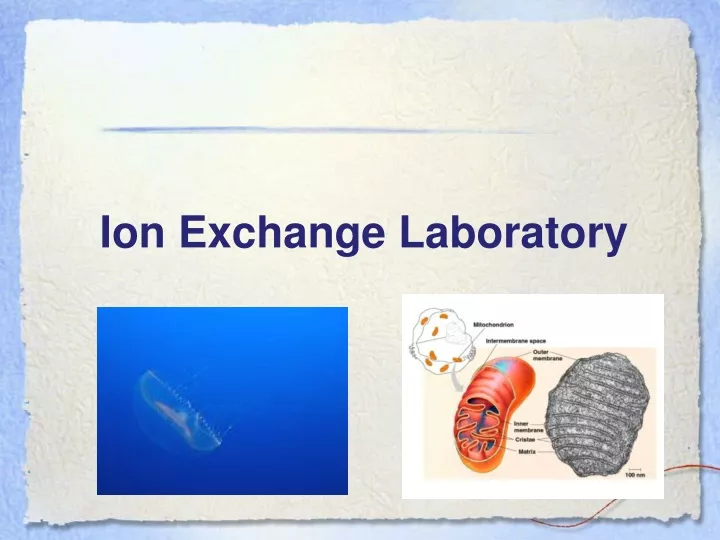 ion exchange laboratory