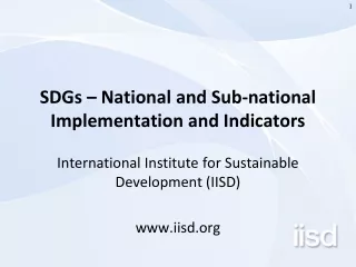 SDGs – National and Sub-national Implementation and Indicators
