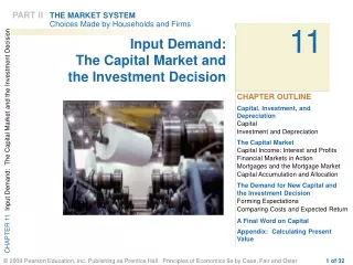 Input Demand: The Capital Market and the Investment Decision