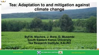Tea: Adaptation to and mitigation against climate change