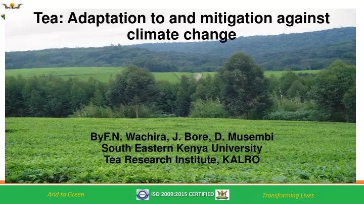 tea adaptation to and mitigation against climate