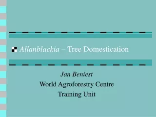 Allanblackia –  Tree Domestication