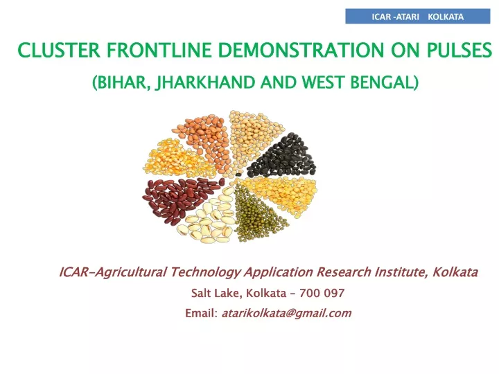 cluster frontline demonstration on pulses bihar