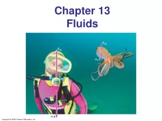 Chapter 13 Fluids