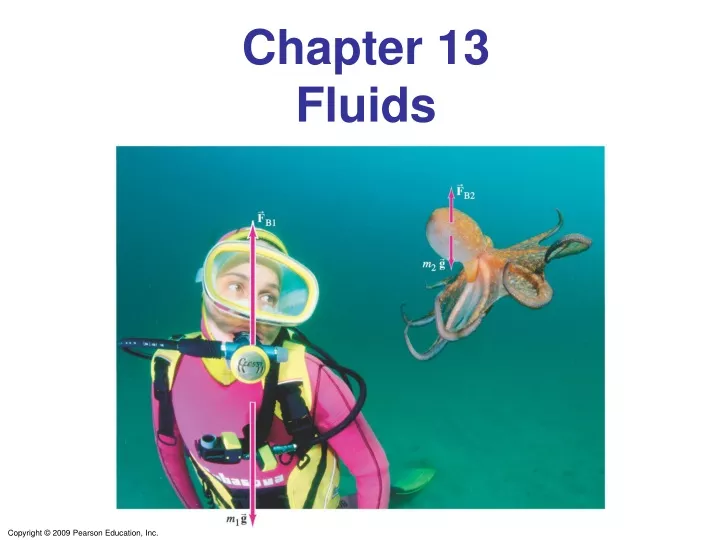 chapter 13 fluids
