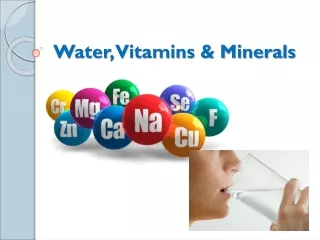 Water, Vitamins &amp; Minerals