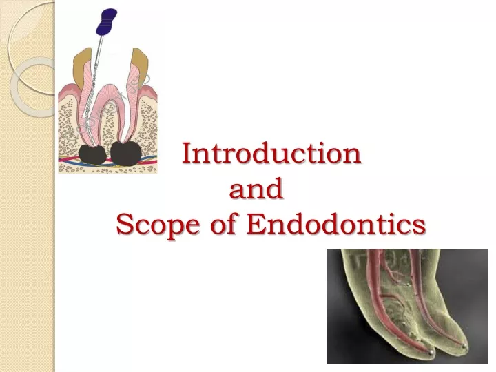 introduction and scope of endodontics