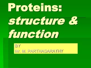 Proteins:  structure &amp; function